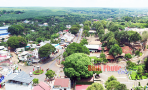 Lắp mạng viettel huyện Lộc Ninh