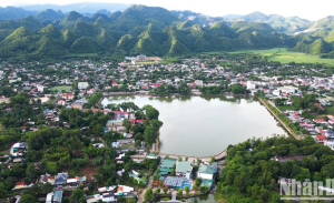 Lắp mạng viettel huyện Quỳ Hợp